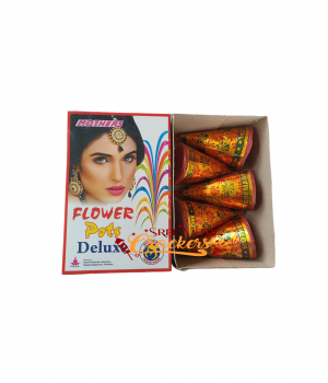 Vetri Crackers