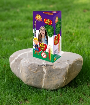 Vetri Crackers